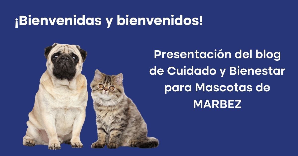 Banner de presentación del blog de MARBEZ con fondo azul marino. A la izquierda, un perro Pug color arena y un gato Persa atigrado miran al frente. A la derecha, texto en blanco que dice '¡Bienvenidas y bienvenidos! Presentación del blog de Cuidado y Bienestar para Mascotas de MARBEZ'.