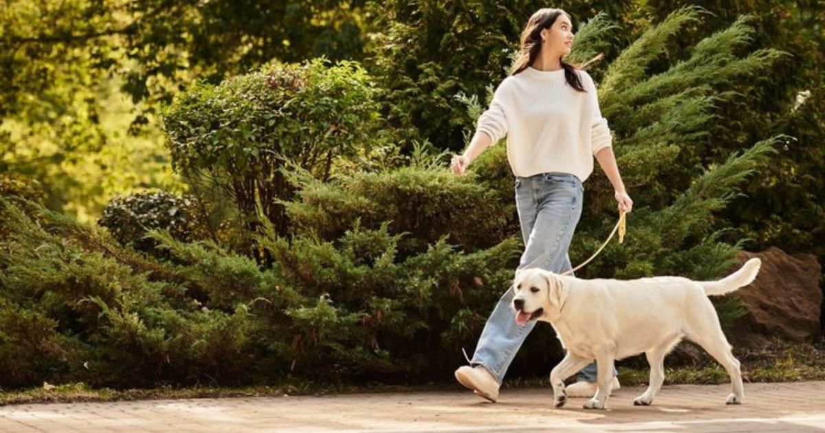Mujer paseando tranquilamente a su perro labrador de color claro por un camino de parque soleado rodeado de arbustos verdes. El perro camina feliz y relajado con la correa suelta, ilustrando el objetivo de un paseo perfecto y sin estrés.
