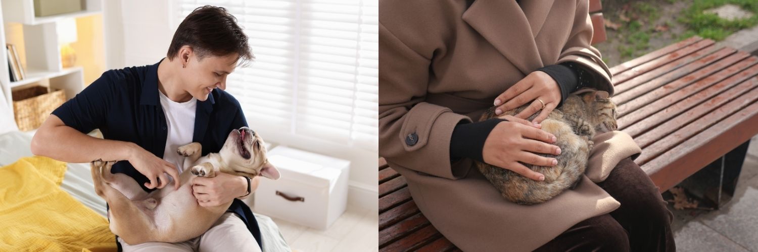 Composición horizontal de dos fotografías sobre bienestar emocional. A la izquierda, un joven sonríe mientras le da un masaje relajante a un bulldog francés acostado boca arriba en el interior de una casa. A la derecha, primer plano de una persona acariciando suavemente a un gato atigrado que descansa plácidamente en su regazo sobre un banco de madera al aire libre.